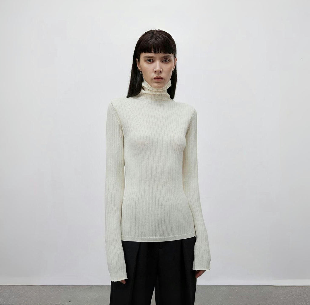 PREMIUM STYLE CO. LTD. | Women's 48S Wool Turtleneck Sweater