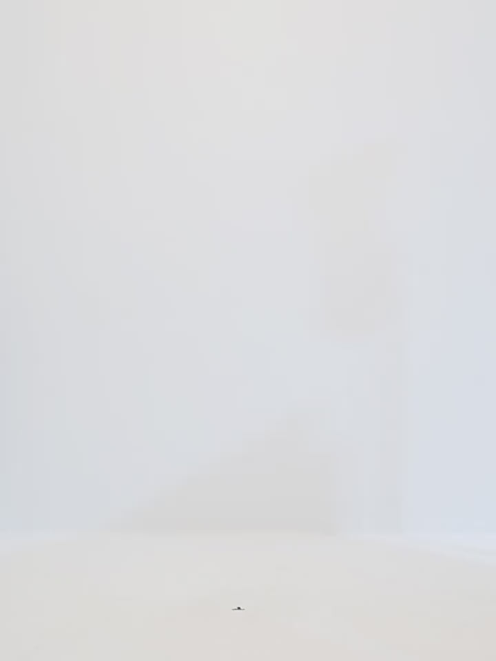 Women's Tweed Suit Jacket | Meteor